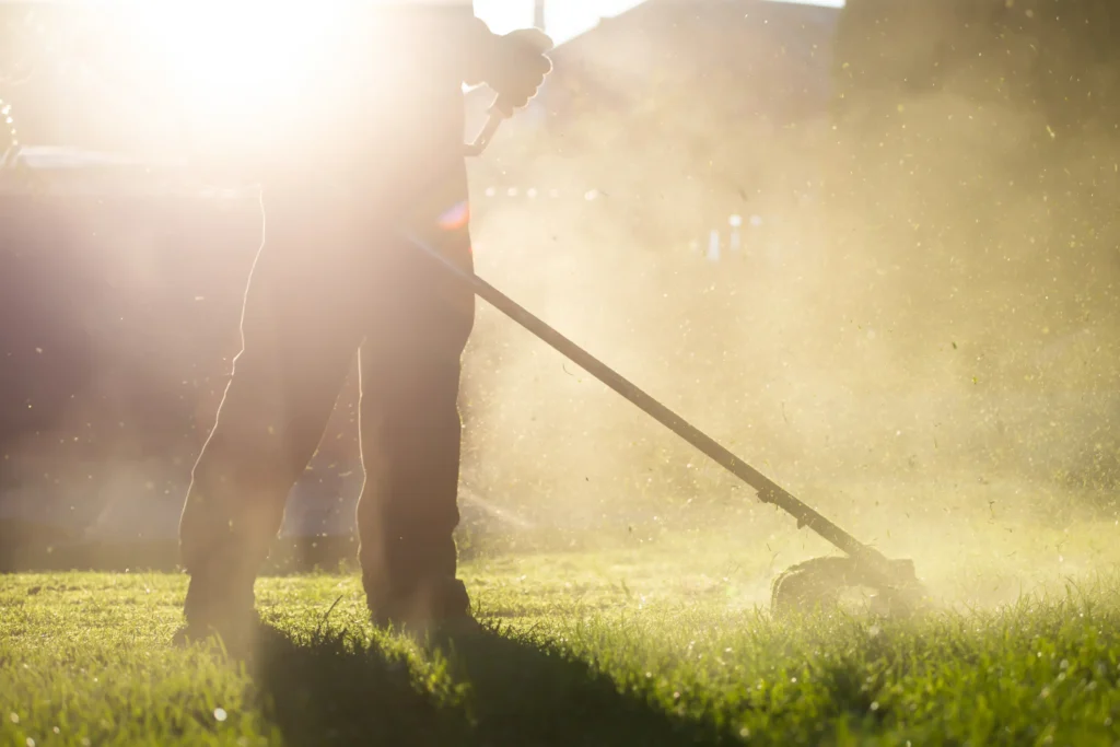 mayday lawn care and power washing raleigh nc Lawn mowing service in Raleigh NC Tree trimming and limb removal in Raleigh NC Pine straw installation in Raleigh NC Yard cleanup services in Raleigh NC Bush trimming service in Raleigh NC Residential lawn care in Raleigh NC Leaf removal service in Raleigh NC Seasonal yard cleanup in Raleigh NC Mulch installation in Raleigh NC Lawn maintenance company in Raleigh NC Hedge trimming services in Raleigh NC Storm debris removal in Raleigh NC Affordable lawn care near Raleigh NC Professional yard maintenance in Raleigh NC Lawn mowing and edging in Raleigh NC Tree limb trimming near Raleigh NC Weekly lawn care service in Raleigh NC Residential yard maintenance in Raleigh NC Pine straw and mulch services Raleigh NC Local lawn care company in Raleigh NC