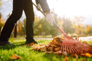 Lawn mowing service in Raleigh NC Tree trimming and limb removal in Raleigh NC Pine straw installation in Raleigh NC Yard cleanup services in Raleigh NC Bush trimming service in Raleigh NC Residential lawn care in Raleigh NC Leaf removal service in Raleigh NC Seasonal yard cleanup in Raleigh NC Mulch installation in Raleigh NC Lawn maintenance company in Raleigh NC Hedge trimming services in Raleigh NC Storm debris removal in Raleigh NC Affordable lawn care near Raleigh NC Professional yard maintenance in Raleigh NC Lawn mowing and edging in Raleigh NC Tree limb trimming near Raleigh NC Weekly lawn care service in Raleigh NC Residential yard maintenance in Raleigh NC Pine straw and mulch services Raleigh NC Local lawn care company in Raleigh NC